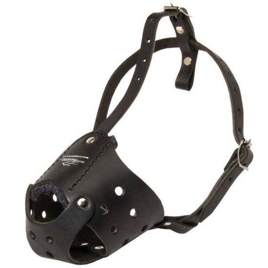Everyday Breathable Leather Dog Muzzle for Training