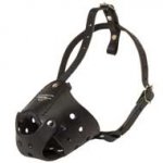Everyday Breathable Leather Dog Muzzle for Training
