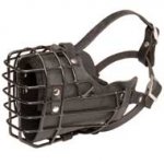 Wire Dog Muzzle for Winter Activities