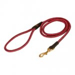Dog Nylon Leash Multifunctional