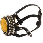 Handmade Leather Dog Muzzle Decorated with Studs and Cones
