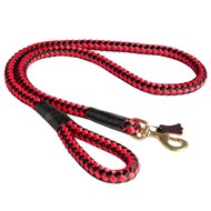Nylon Cord Dog Leash for Walking and Training