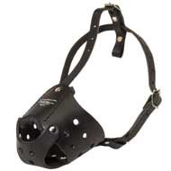 Everyday Breathable Leather Dog Muzzle for Training