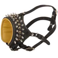 Spiked and Studded Leather Dog Muzzle