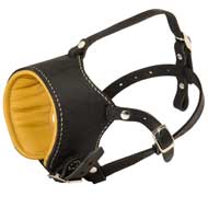 Padded Short Leather Dog Muzzle