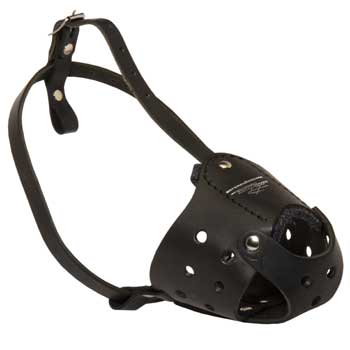 Walking Leather Muzzle for Dog